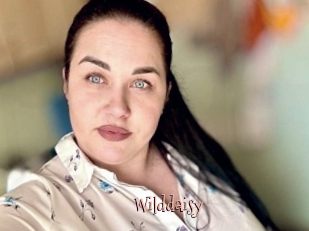 Wilddaisy