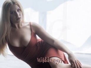 Wilddanngel