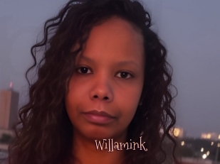 Willamink