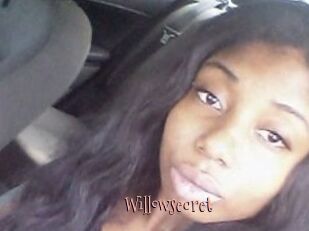 Willow_secret