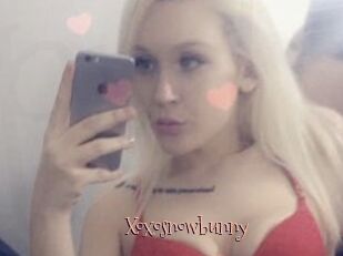 Xoxosnowbunny