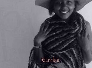 Xtinekui