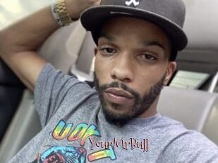 YourMrBull