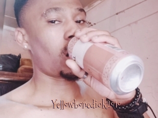 Yellowbonedick2010