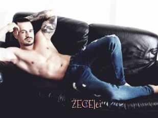 ZECElei
