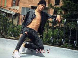 Zetta_X