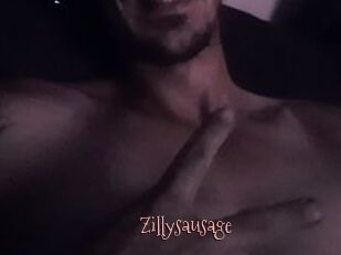 Zillysausage