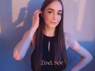 Zinet_new