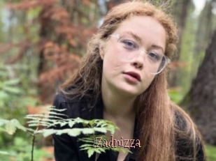 Zadnizza