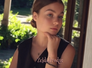 Zeldadrudge